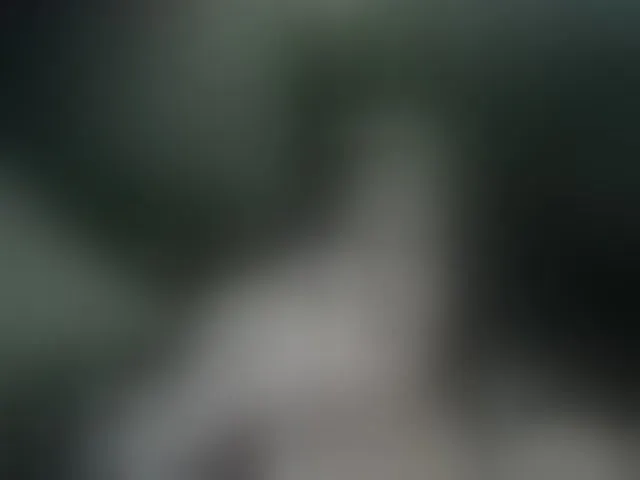 Live sex webcam photo for AllaSowinskaya #293422998