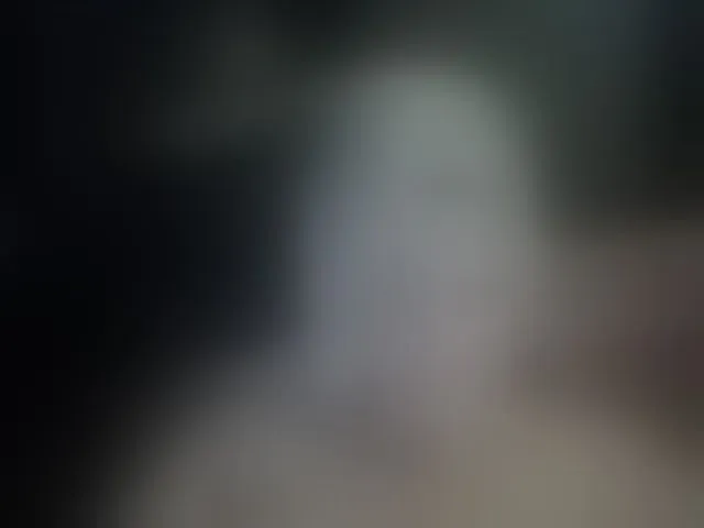 Live sex webcam photo for AllaSowinskaya #293564891