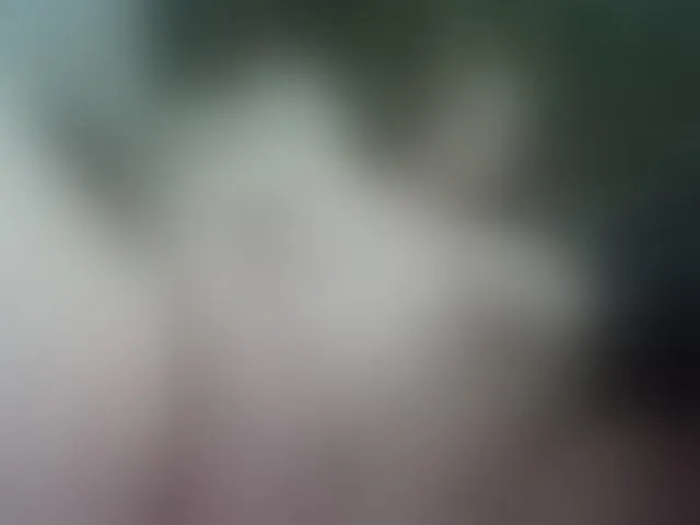 Live sex webcam photo for AllaSowinskaya #293661358