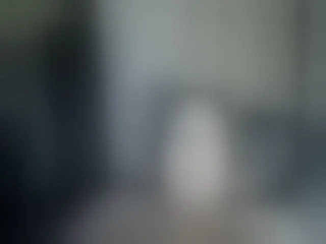 Live sex webcam photo for AllaSowinskaya #293911428