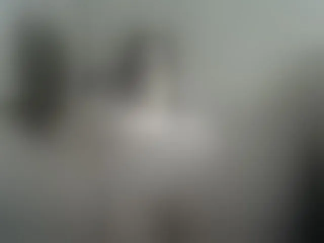 Live sex webcam photo for AllaSowinskaya #294048018