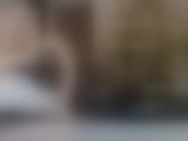 Live sex webcam photo for Allesya23 #292563330