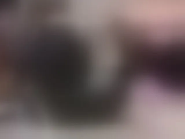 Live sex webcam photo for Allesya23 #293278418