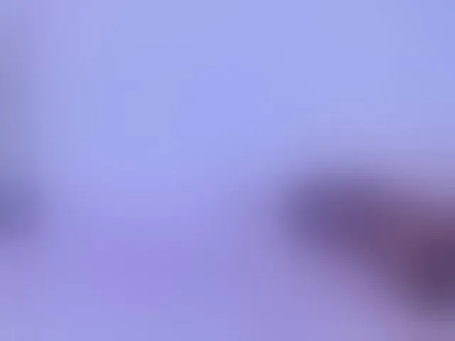 Live sex webcam photo for AlliciaKim #293909316