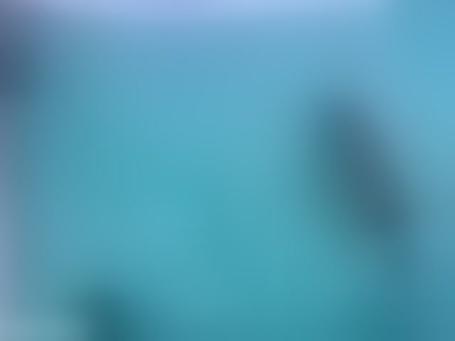 Live sex webcam photo for AlliciaKim #294242362