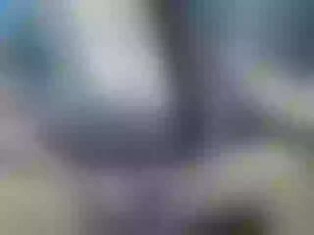 Live sex webcam photo for AlluringTSSolenn #290337565