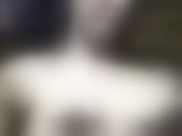 Live sex webcam photo for Allycha1 #292539794
