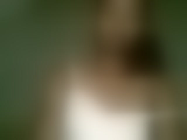 Live sex webcam photo for Allycha1 #293627455