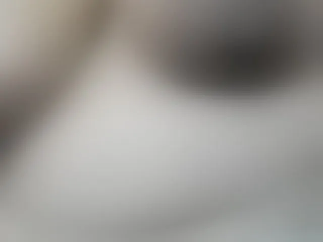 Live sex webcam photo for AlondraZaens #292759888