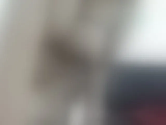 Live sex webcam photo for AlondraZaens #293057304