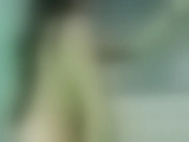 Live sex webcam photo for Alondraconnor #293497839