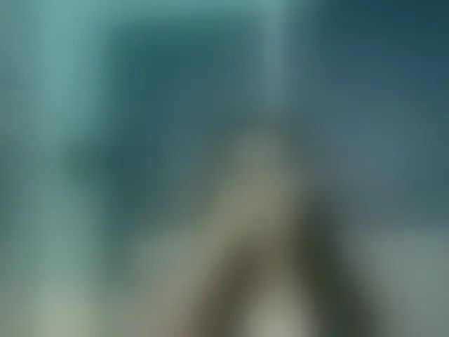 Live sex webcam photo for Alondraconnor #293688376