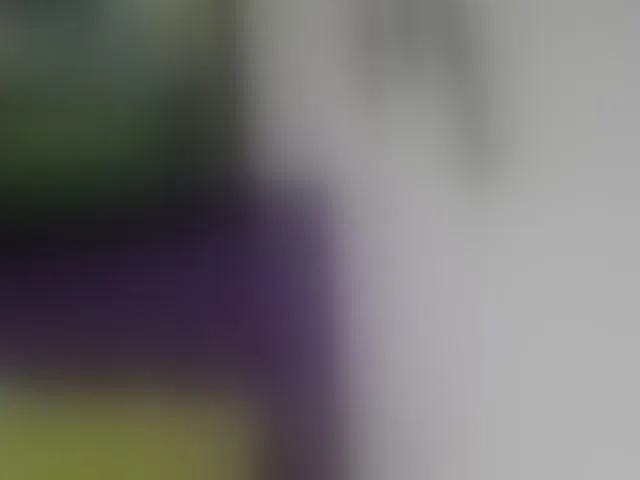 Live sex webcam photo for Alondraconnor #293984310