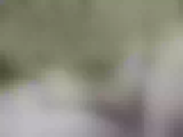 Live sex webcam photo for Alpapvp667 #291023684
