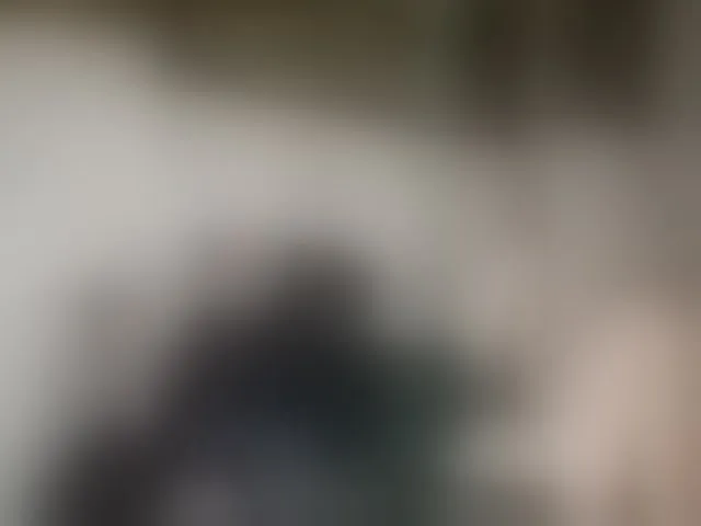 Live sex webcam photo for Alpapvp667 #292430798