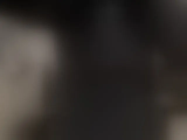 Live sex webcam photo for AlyssaDean #293085878