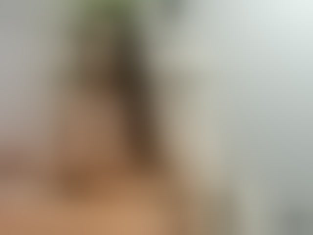 Live sex webcam photo for AlyssaElla #294204800