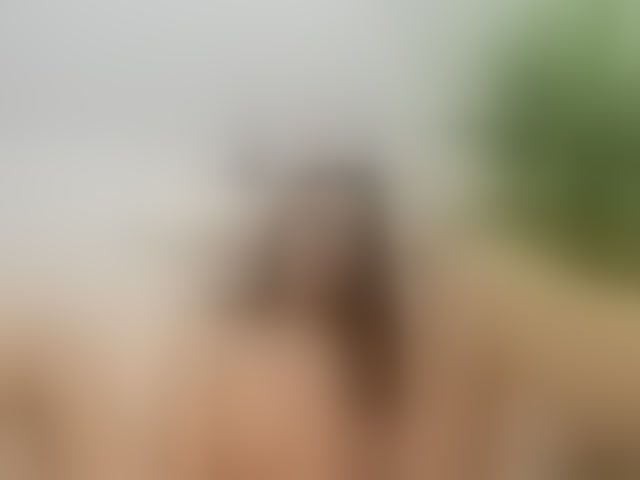 Live sex webcam photo for AlyssaElla #294224266
