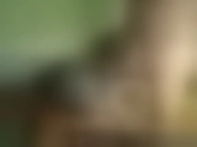 Live sex webcam photo for Amalteja2 #292471468