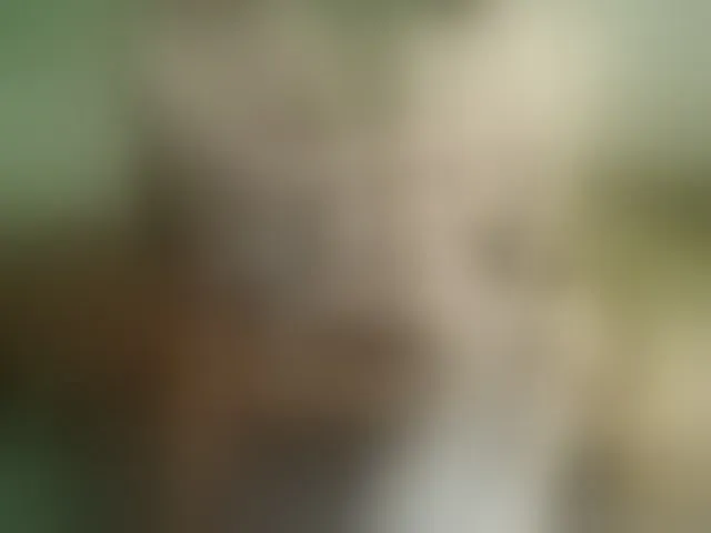 Live sex webcam photo for Amalteja2 #293004631