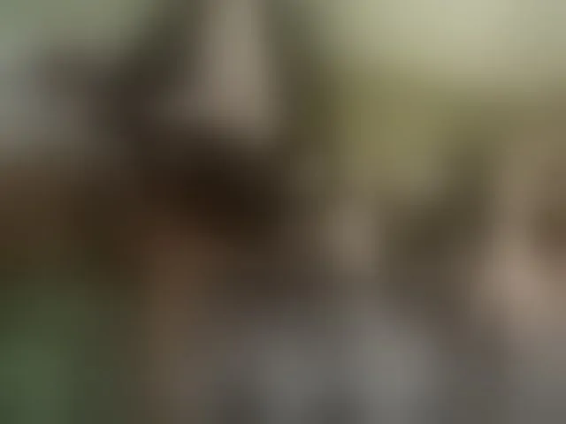 Live sex webcam photo for Amalteja2 #293031117