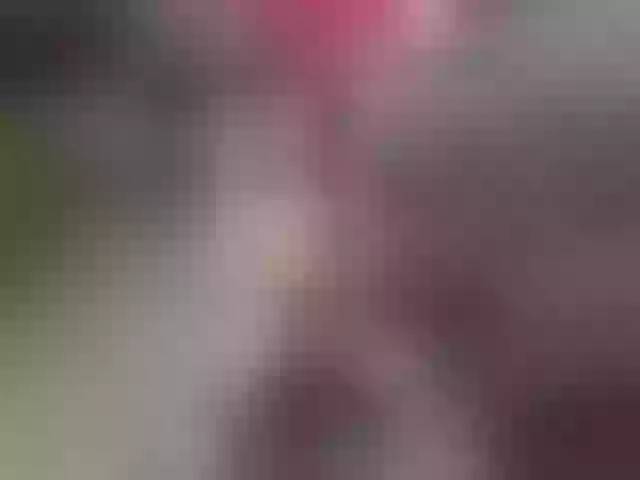 Live sex webcam photo for AmandaColl #291240219