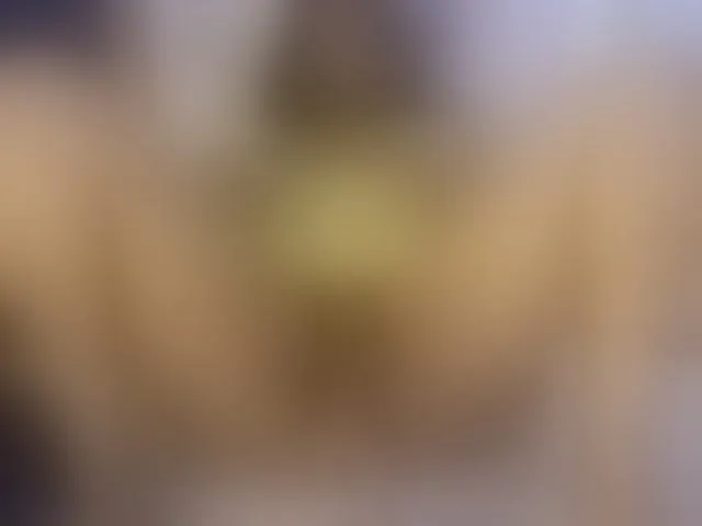 Live sex webcam photo for AmbarSmit #293425909