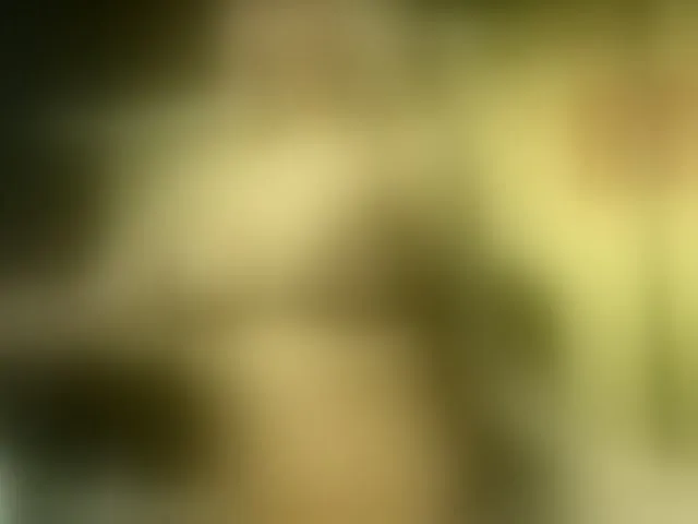 Live sex webcam photo for AmberGolden #293245814