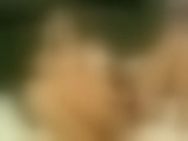 Live sex webcam photo for AmberGolden #293345536