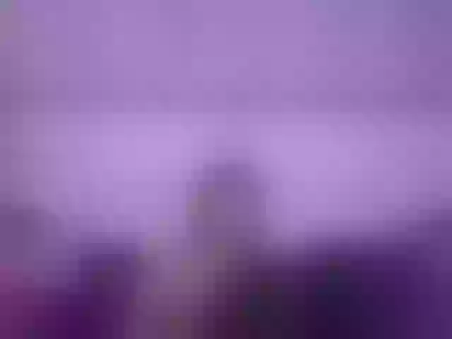 Live sex webcam photo for AmberVox #290502003