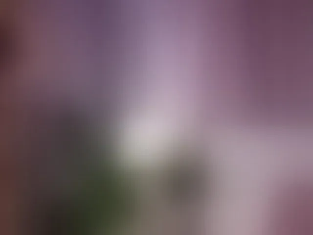Live sex webcam photo for AmeliaBarbie #293360798