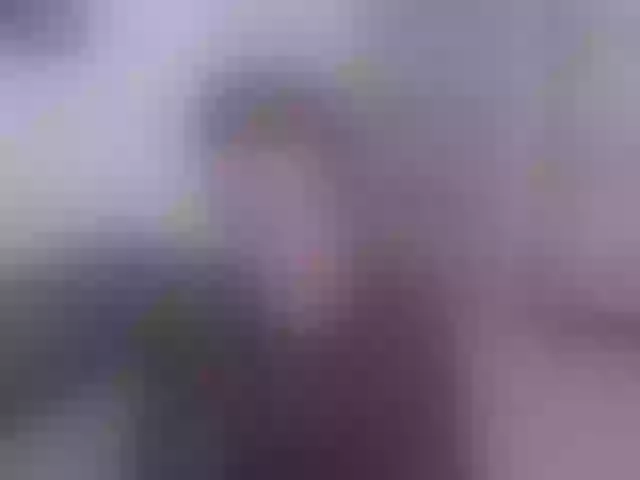 Live sex webcam photo for AmeliaCassel #292185443