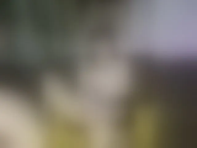 Live sex webcam photo for AmeliaRosea #293957484