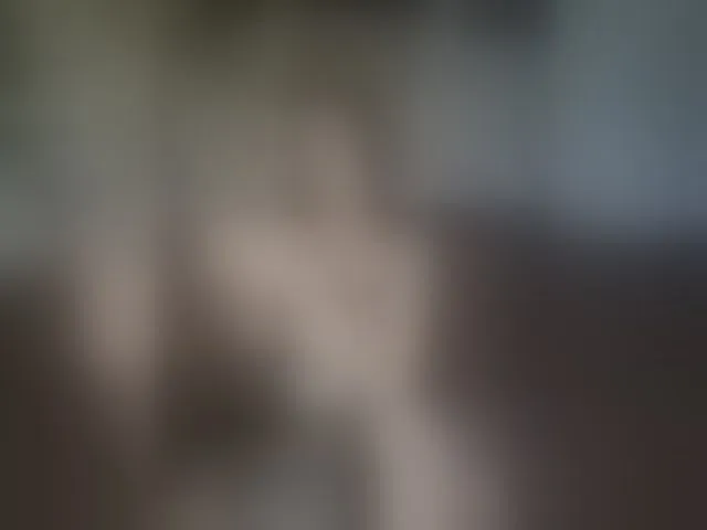 Live sex webcam photo for AmeliaRosea #294041280