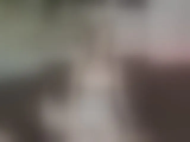 Live sex webcam photo for AmeliaRosea #294062433