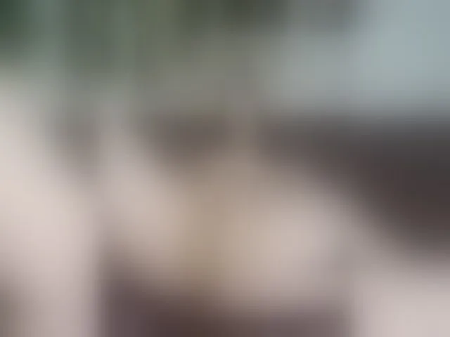 Live sex webcam photo for AmeliaRosea #294189737