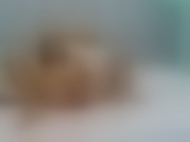 Live sex webcam photo for AmelieLaurent #294178433