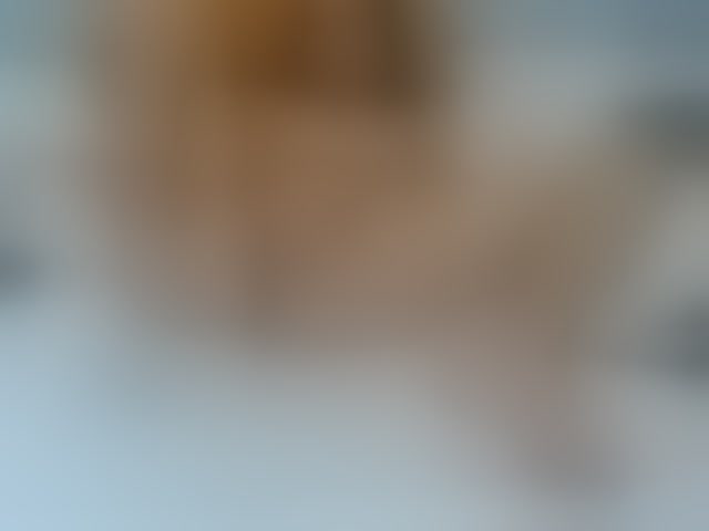 Live sex webcam photo for AmelieLaurent #294311854