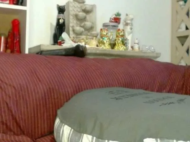 Live sex webcam photo for AmelieandRoss #291742031