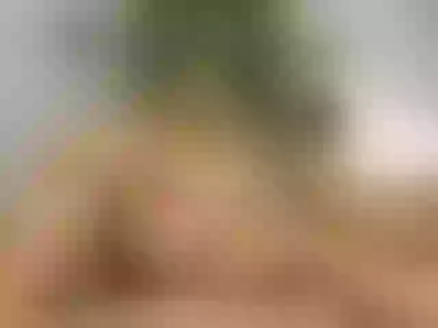 Live sex webcam photo for AmiraRees #291900495