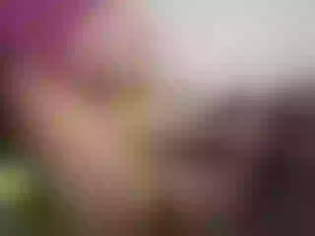 Live sex webcam photo for Ammyy-Brown #291526454
