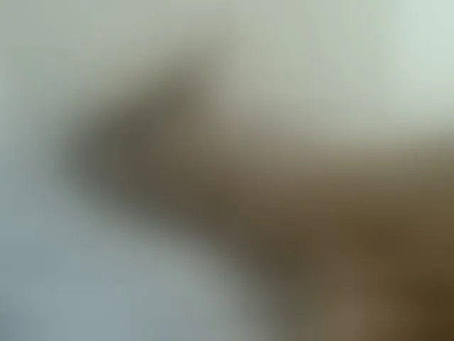 Live sex webcam photo for AmorSweetgal #292850647