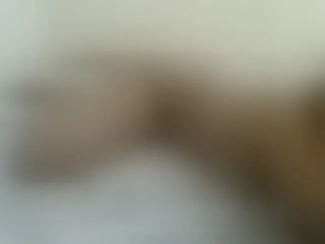 Live sex webcam photo for AmorSweetgal #292886475