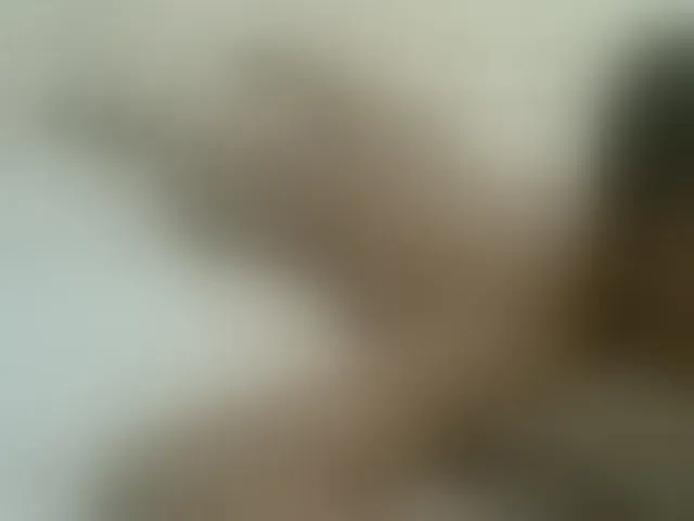 Live sex webcam photo for AmorSweetgal #293254825