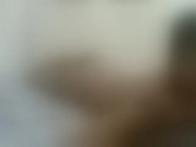 Live sex webcam photo for AmorSweetgal #293625346