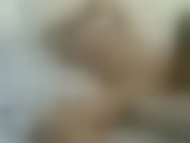 Live sex webcam photo for AmorSweetgal #293628510