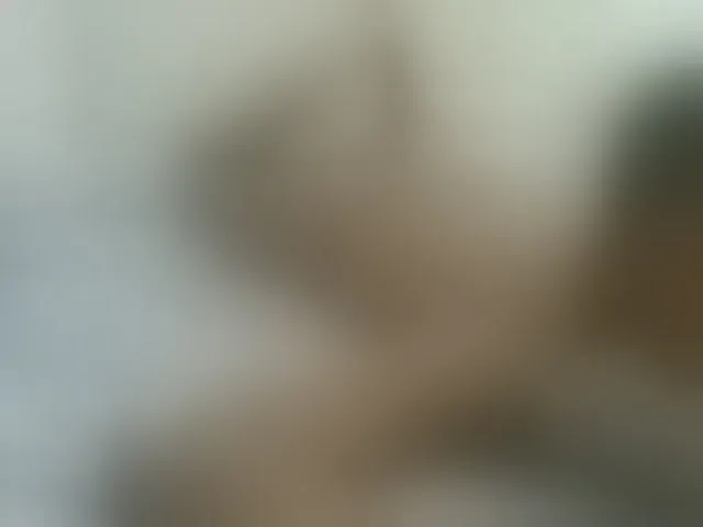 Live sex webcam photo for AmorSweetgal #293633236
