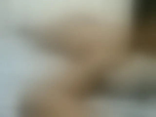 Live sex webcam photo for AmorSweetgal #293834448