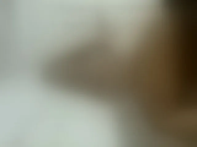 Live sex webcam photo for AmorSweetgal #293915652