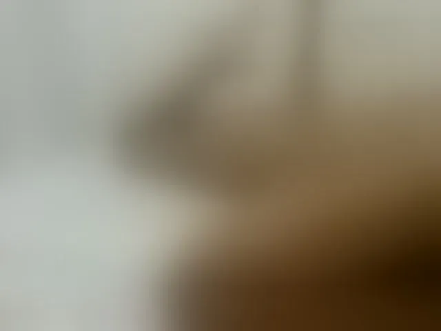 Live sex webcam photo for AmorSweetgal #294043179